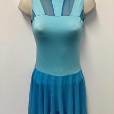 Aqua mesh skirted leotard
