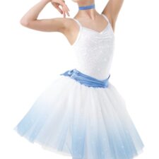White and pale blue ombre tutu (with choker not flower)