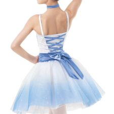 White and pale blue ombre tutu (with choker not flower)