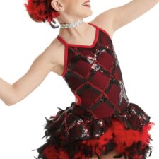 Red and black skirted leotard with feathers