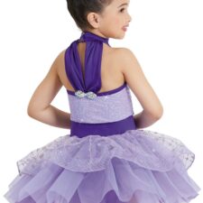 Violet and purple sequin tutu with iridescent net skirt