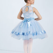 Pale blue and white lace tutu (hair flower not included)