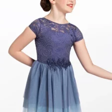 Periwinkle and slate blue lace leotard with multi tier chiffon skirt
