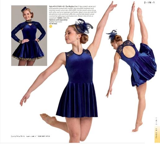 Blue Navy Ombre Tutu Ballet Dance Costume