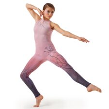 Pink and blue ombre sheer catsuit over pink biketard