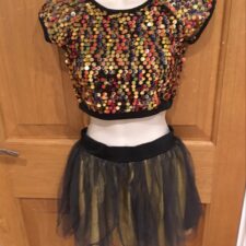 Multi colour sequin crop top with metallic gold and black skirt with attached briefs