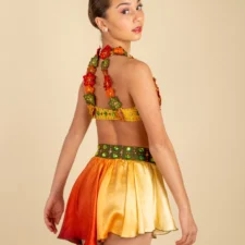 Autumn colours 2 piece with skirted briefs