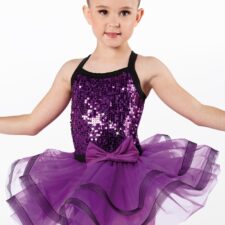 Purple and black sequin skirted leotard (missing hair bow)