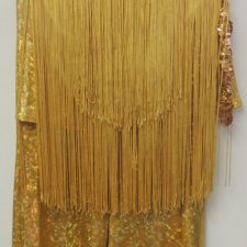 Gold fringe top and sequin trousers