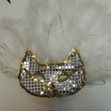 Cat mask with feathers