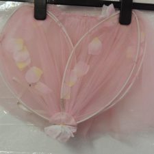 Fairy wings and matching sheer skirt