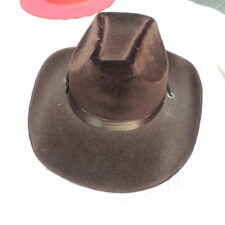 Brown felt cowboy hat