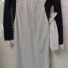 Navy and white Victorian dress and apron