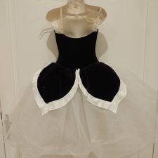 Black velvet and white net tutu