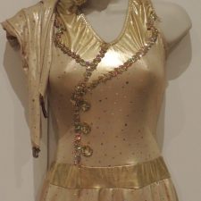Metallic gold skirted leotard with army sequin hat and matching gloves
