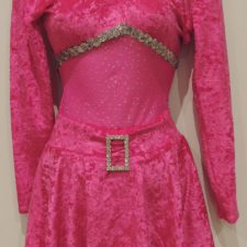 Hot pink velvet leotard with silver sequin trim and matching skirt