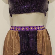 Purple sequin crop top and briefs with attached copper half skirt