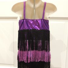 Black and purple fringe dress with gold sparkle bodice