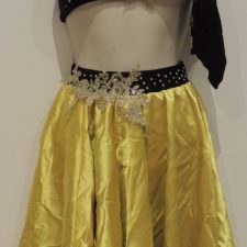 Black and yellow flower appliqued crop top and satin skirt