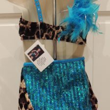 Turquoise sequin and velvet animal print crop top and high waisted briefs