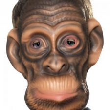 Chimp mask