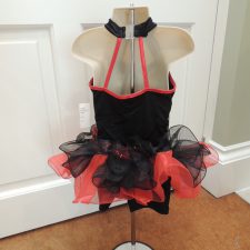 Black red and gold stripy biketard with bustle and fringe insert