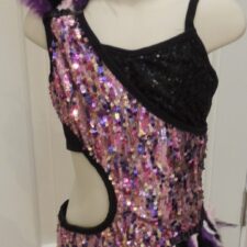 Black and pink sequin cut out biketard with fringe and feathers
