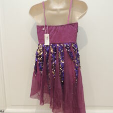 Purple, wine and gold sequin leotard with angled hem skirt
