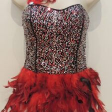 Red and silver colour sequin top with feather trim