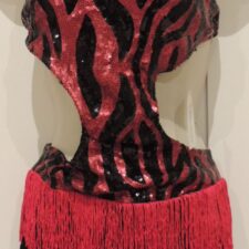 Black and red sequin cut out leotard with fringe skirt