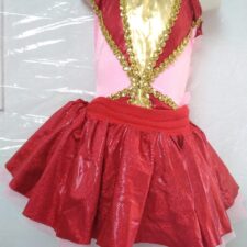Pink, gold and red leotard and tutu skirt