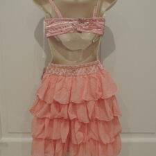 Pale pink and silver crop top and ruffle skirt with sequins and stones