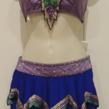 Lavender and blue sequin applique crop top and silk skirt