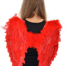Red feather angel wings