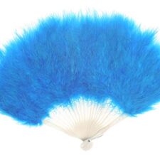 Small Feather fan