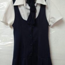 Navy school uniform and blouse
