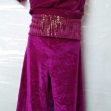 Raspberry and gold velvet dance top and trousers