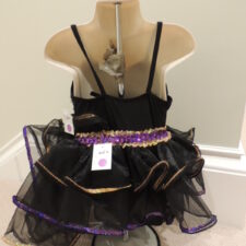 Black and purple tutu with ruffle skirt trimmed in gold