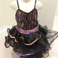 Black and purple tutu with ruffle skirt trimmed in gold