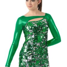 Green and silver sequin skirted biketard
