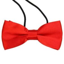 Red satin bow tie
