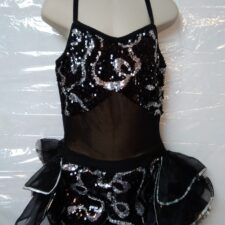 Black and silver sequin biketard with bustle