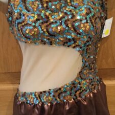 Brown and turquoise sequin skirted leotard with single shoulder strap and 's' curve design