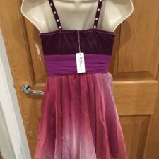 Purple and wine skirted leotard with tie dyed flowy skirt and sequin bodice