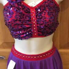 Red and purple sequin crop top and short skirt
