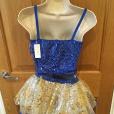 Royal blue and gold crop top and tutu skirt