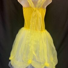 Yellow Sparkle and chiffon tutu (Shown in Blue)