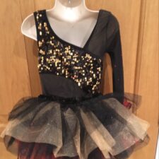 Black, gold sequin and red biketard with bustle