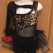Black, gold sequin and red biketard with bustle