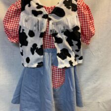 Red and white check top, denim skirt and cow print vest